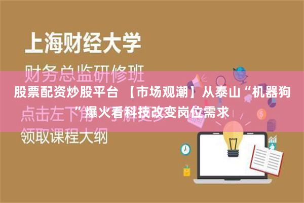 股票配资炒股平台 【市场观潮】从泰山“机器狗”爆火看科技改变岗位需求