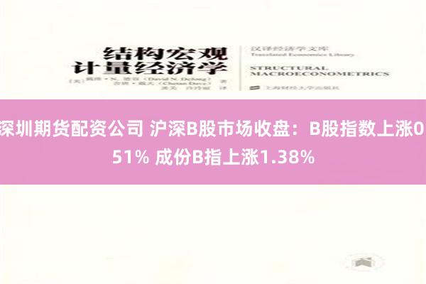 深圳期货配资公司 沪深B股市场收盘：B股指数上涨0.51% 成份B指上涨1.38%