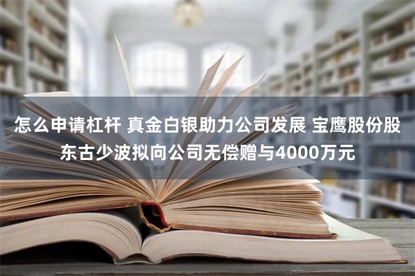 怎么申请杠杆 真金白银助力公司发展 宝鹰股份股东古少波拟向公司无偿赠与4000万元