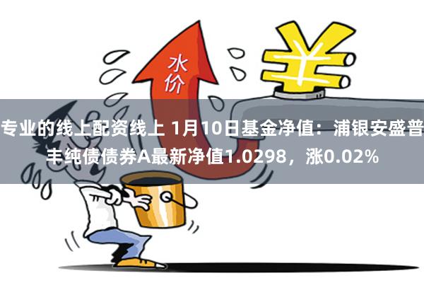 专业的线上配资线上 1月10日基金净值：浦银安盛普丰纯债债券A最新净值1.0298，涨0.02%